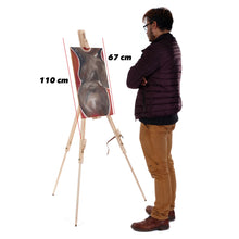Lade das Bild in den Galerie-Viewer, STAFFELEI "PINE" | 180 cm, Pinienholz | für Keilrahmen bis 1 m