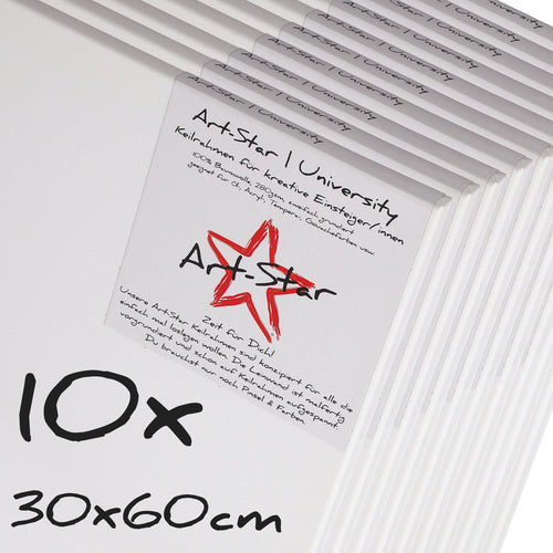 10 ART-STAR Leinwände | 30x60 cm | auf Keilrahmen, 100% Baumwolle