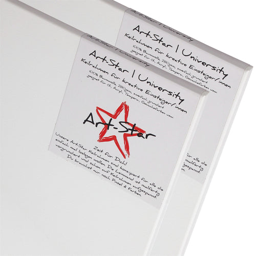 2 ART-STAR UNIVERSITY KEILRAHMEN 80x100cm | blanko Leinwände zum malen