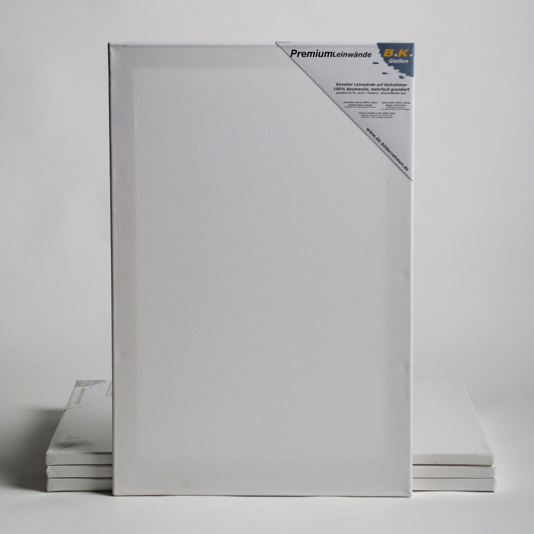 4 PREMIUM Leinwände auf Keilrahmen 60x80 cm Künstler Leinwand