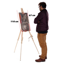 Lade das Bild in den Galerie-Viewer, STAFFELEI &quot;PINE&quot;  | 180 cm, Pinienholz | für Keilrahmen bis 1 m
